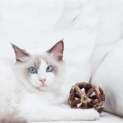 Playtime