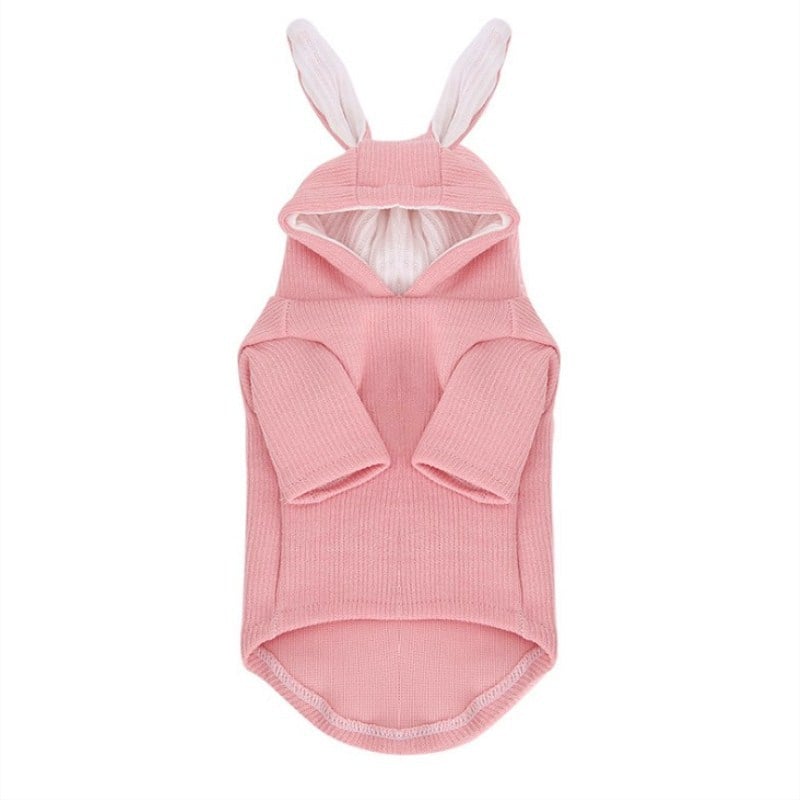 Bichon Teddy Dog Sweatshirt with Rabbit Ears