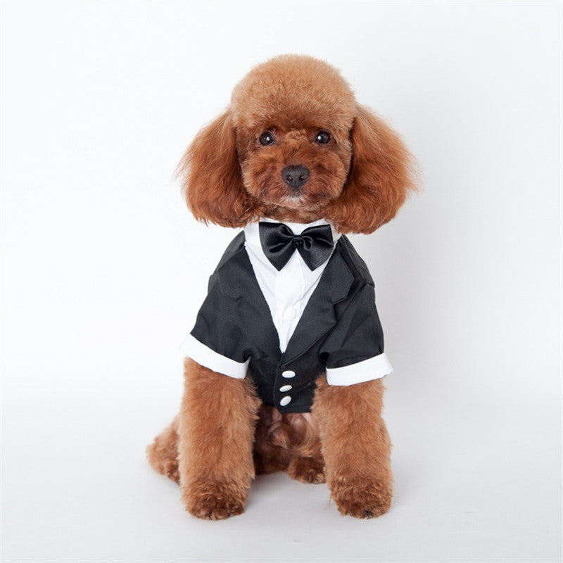 Teddy Clothes for Golden Retriever Fall Winter Suit