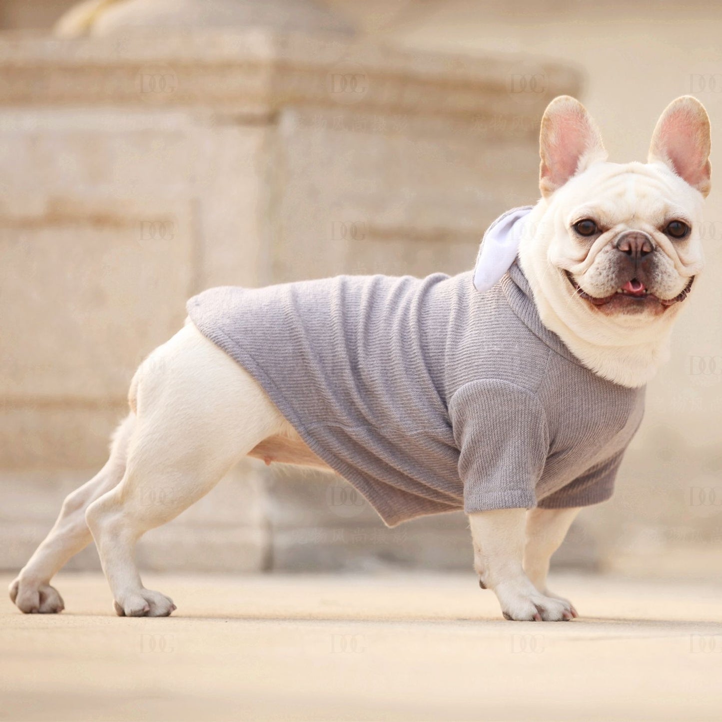 Pet Dog Cat Rabbit Autumn Winter Knit Sweater Outfit