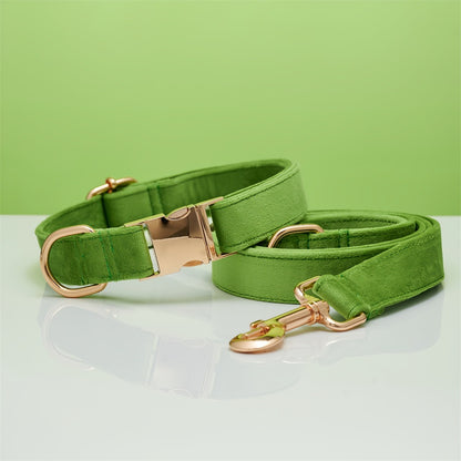 Velvet Personalized Dog Collar & Leash Set with Bow