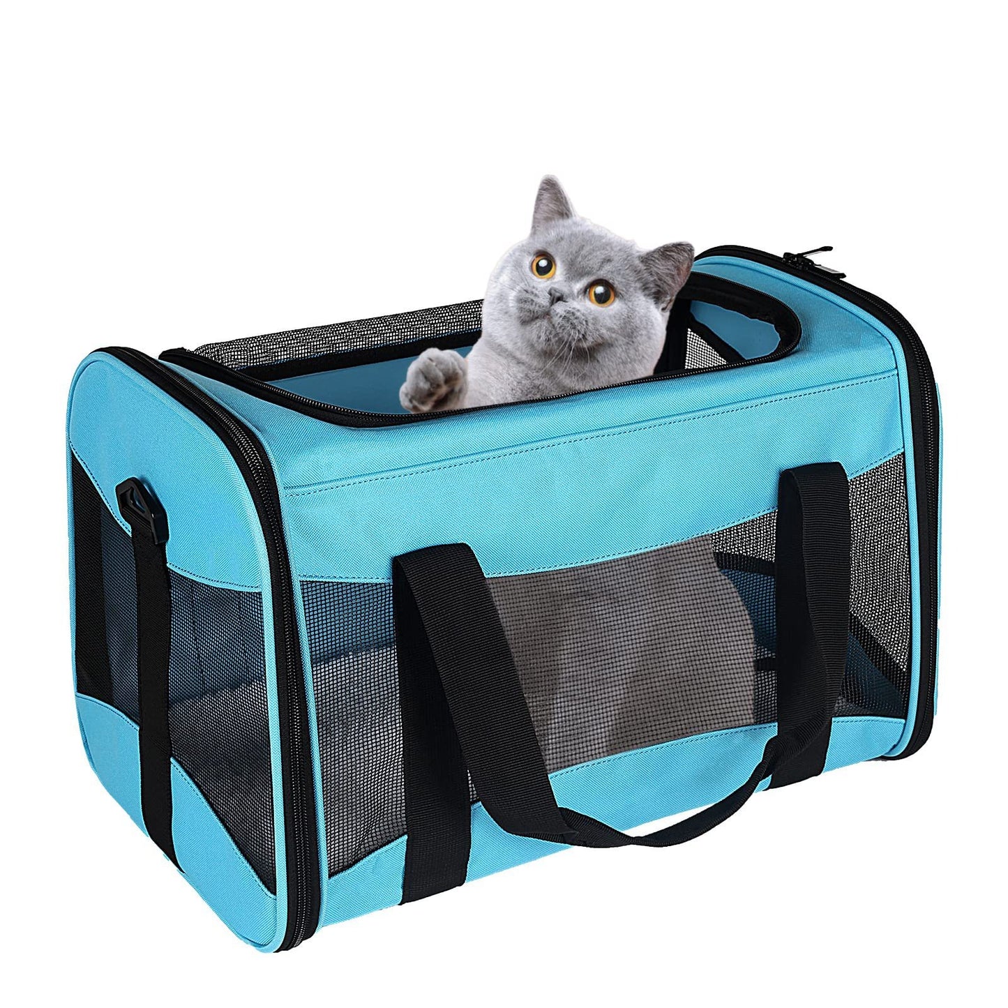 Foldable Breathable Pet Carrier Bag