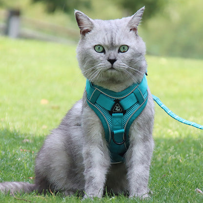 Silver Gradient Anti-Breakaway Cat Rope Chain
