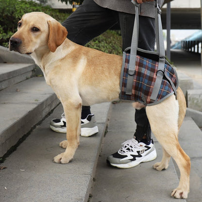 Assistive Belt for Elderly Dogs - Postoperative Rehab Sling