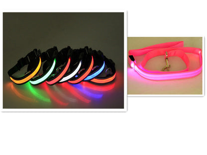 LED Dog Leash with Fluorescent Dog Collar