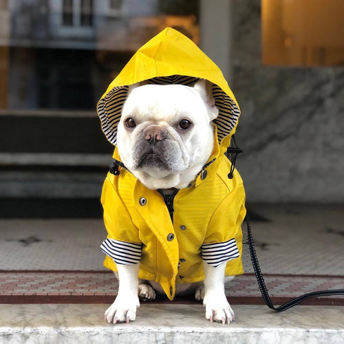 Tide Brand Retro Windproof Padded Dog Raincoat