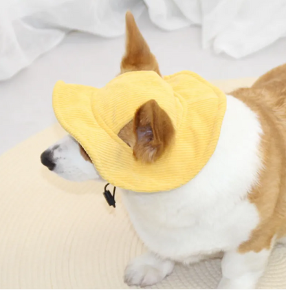 Pet Casual Hat