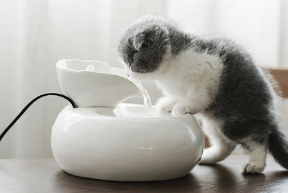 Cat Leaf Water Dispenser with Circulating Filter