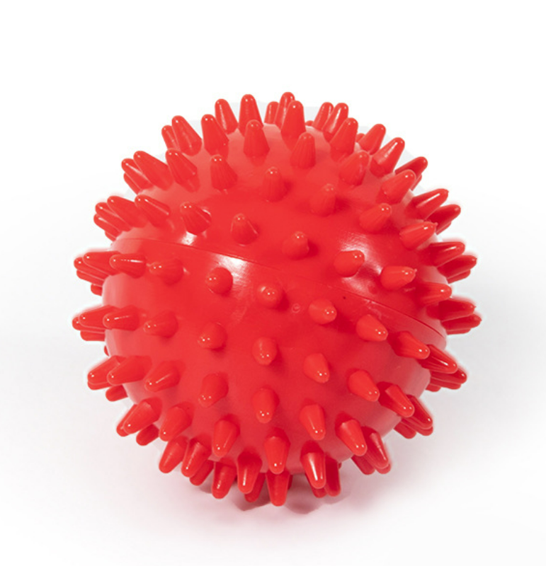 Large Bouncy Ball for Dogs with Massage Features