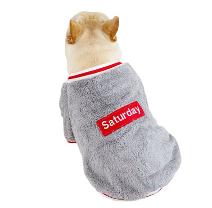 Cozy Pet Sweater for Comfortable Wear