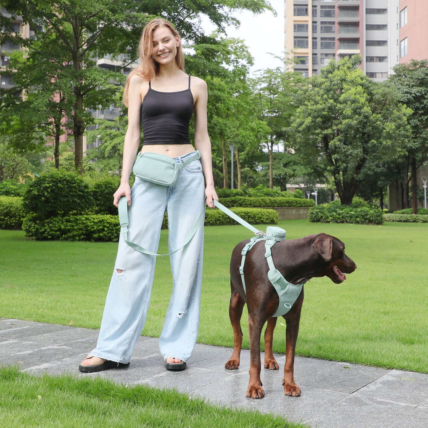 Mint Green Pet Dog Vest Harness & Collar Set