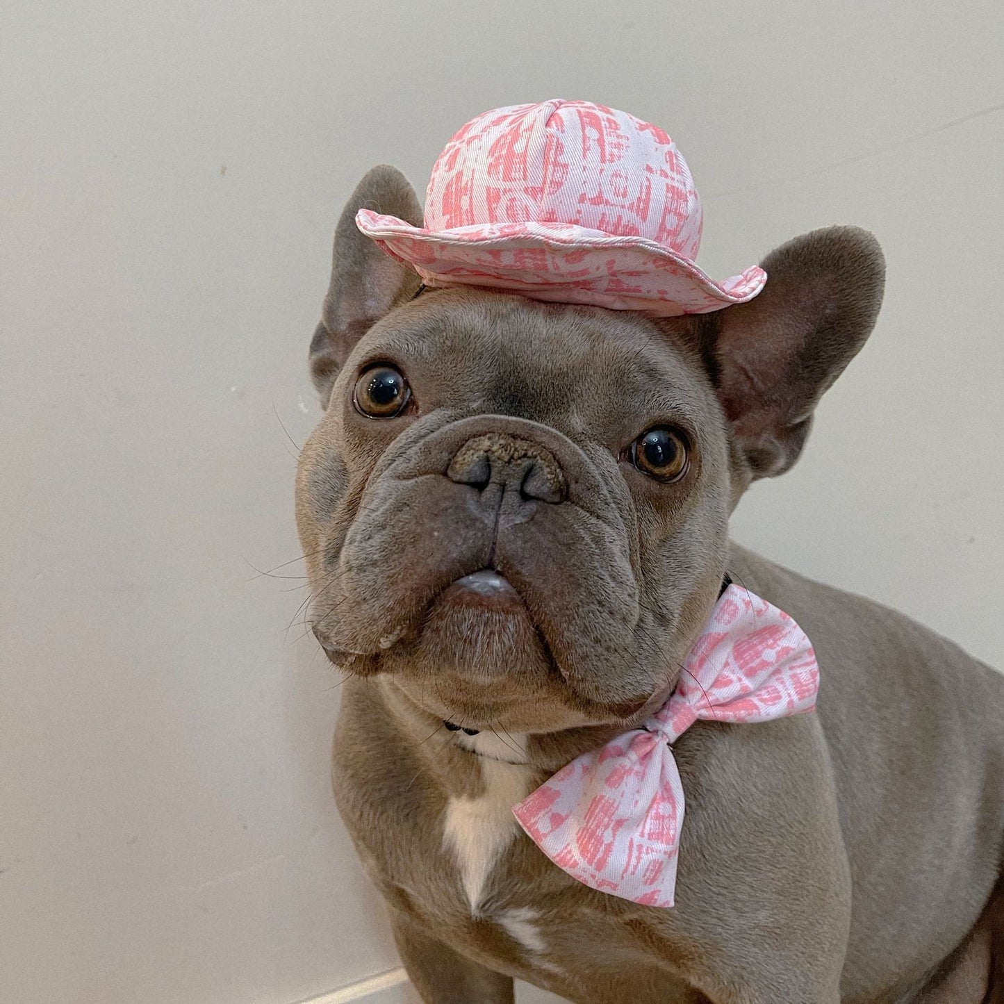 Cute Cowboy Hat Suit for Pet Travel Accessories
