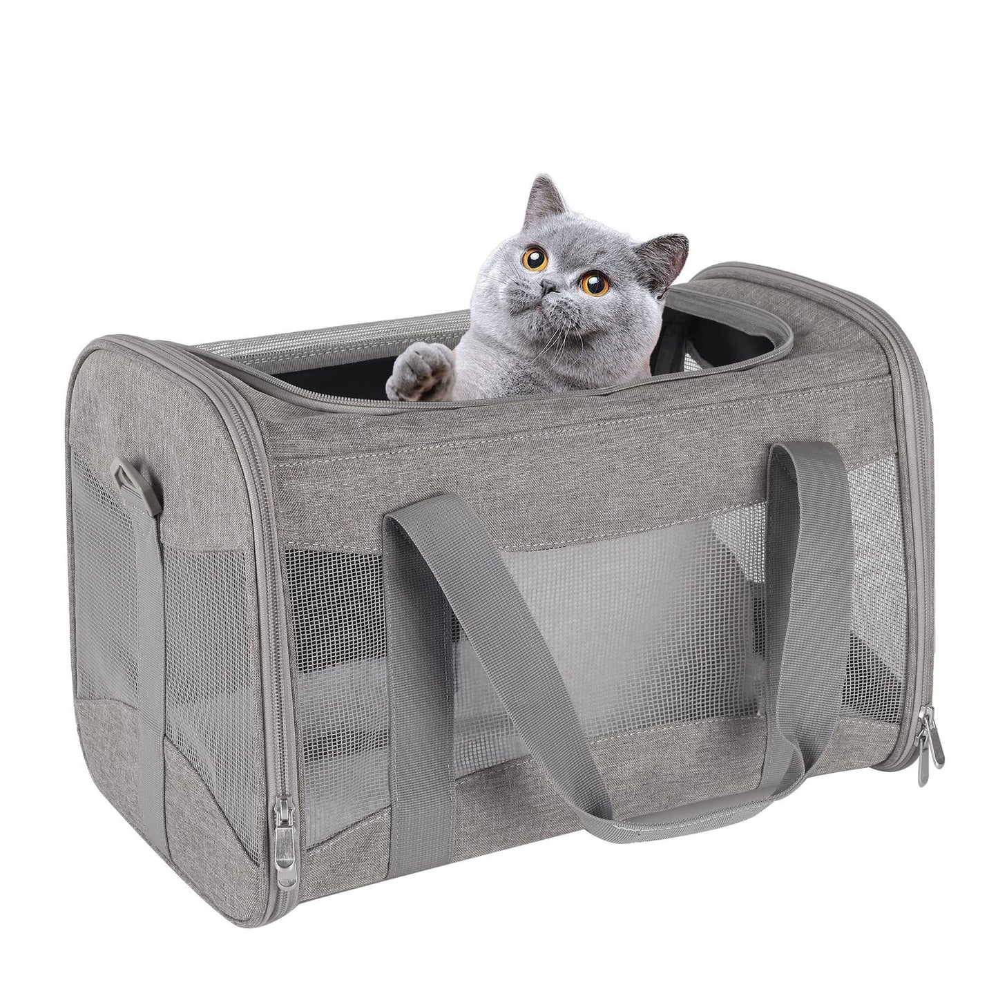 Foldable Breathable Pet Carrier Bag