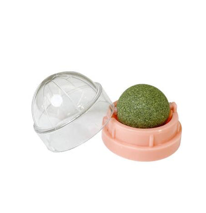 Catnip Spin Ball for Cats - Teeth Cleaning Toy (One Piece)