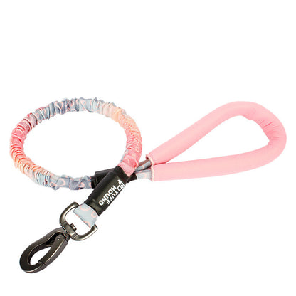 Bianmu Golden Retriever Medium Dog Walking Leash