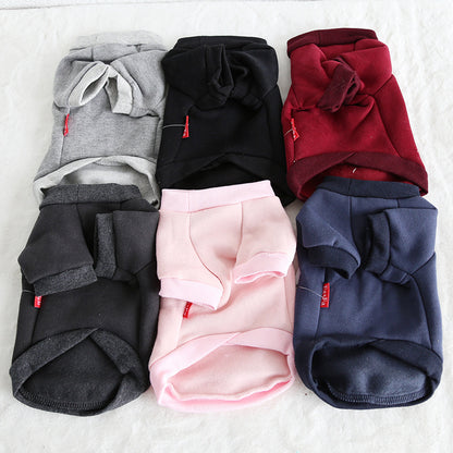 Multicolor Fruit Print Sweatshirt for Pets