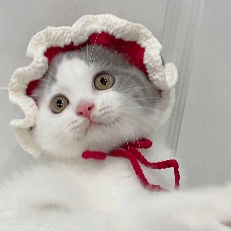 Pet Knitted Hat for Cats & Dogs