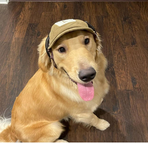 Breathable Sports Sunscreen Hat for Dogs