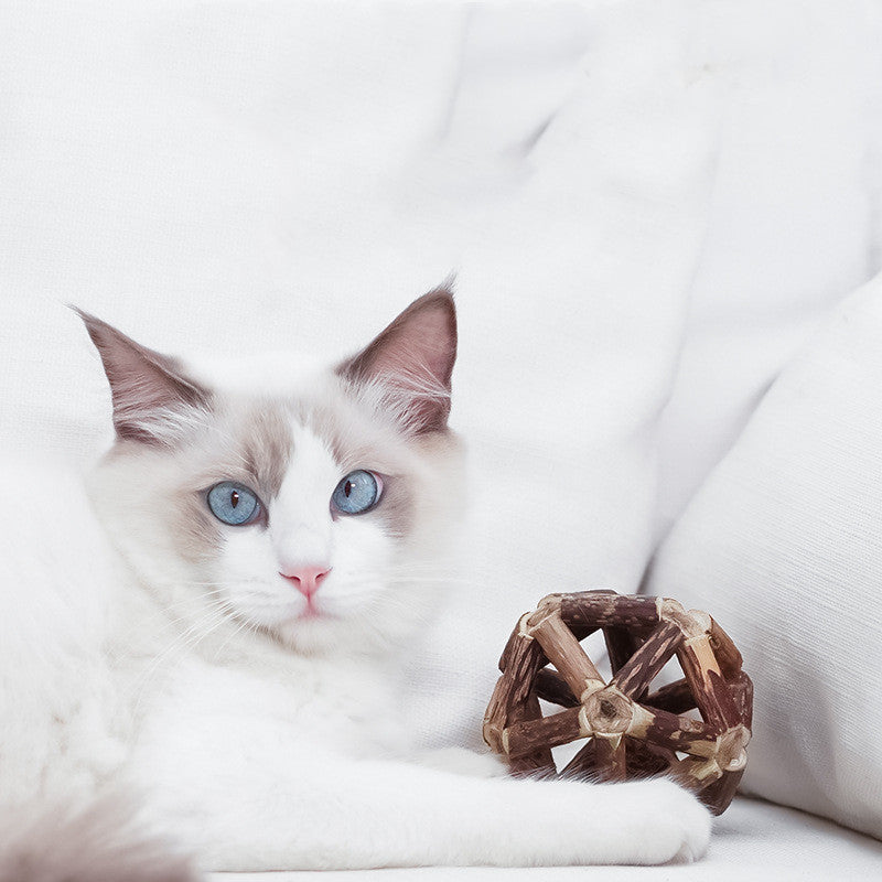 Cat Toy Set with Catnip Balls and Dental Chew Sticks