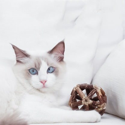 Cat Toy Set with Catnip Balls and Dental Chew Sticks
