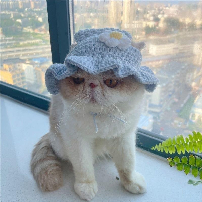 Pet Knitted Hat for Cats & Dogs