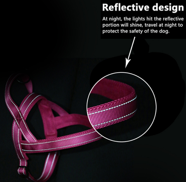 Pet Dog Harness with Leash for Walking