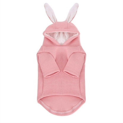 Bichon Teddy Dog Sweatshirt with Rabbit Ears