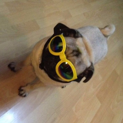 Foldable Dog Sunglasses - Pet Eye Protection Glasses