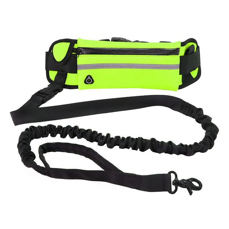 Pet Purse Leash for Dog Walking