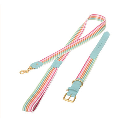 Woven Dog Collar Traction Rope