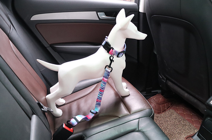 Bianmu Golden Retriever Medium Dog Walking Leash
