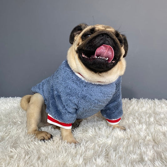 Cozy Pet Sweater for Comfortable Wear