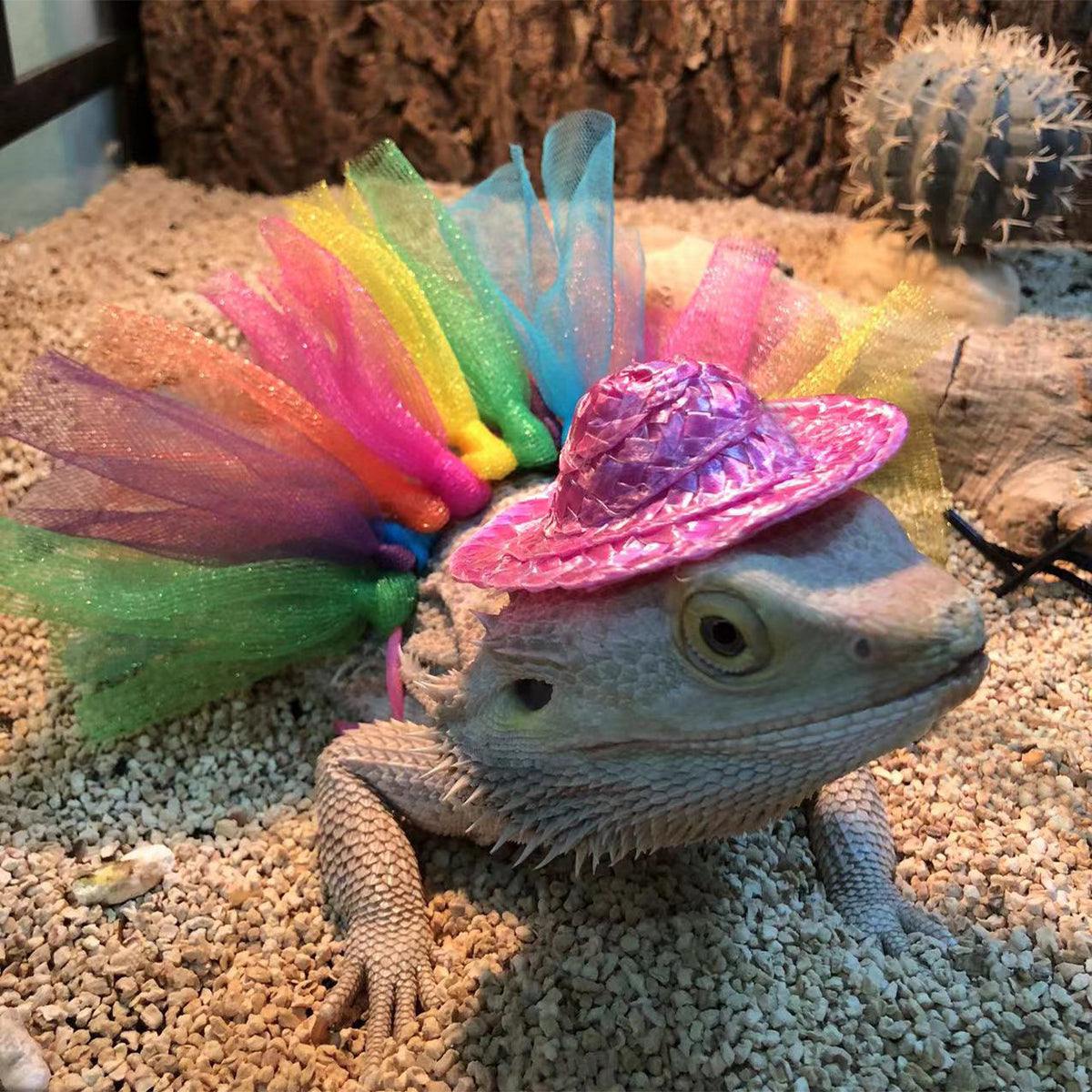 Lizard Outfit for Holiday and Halloween Small Pets