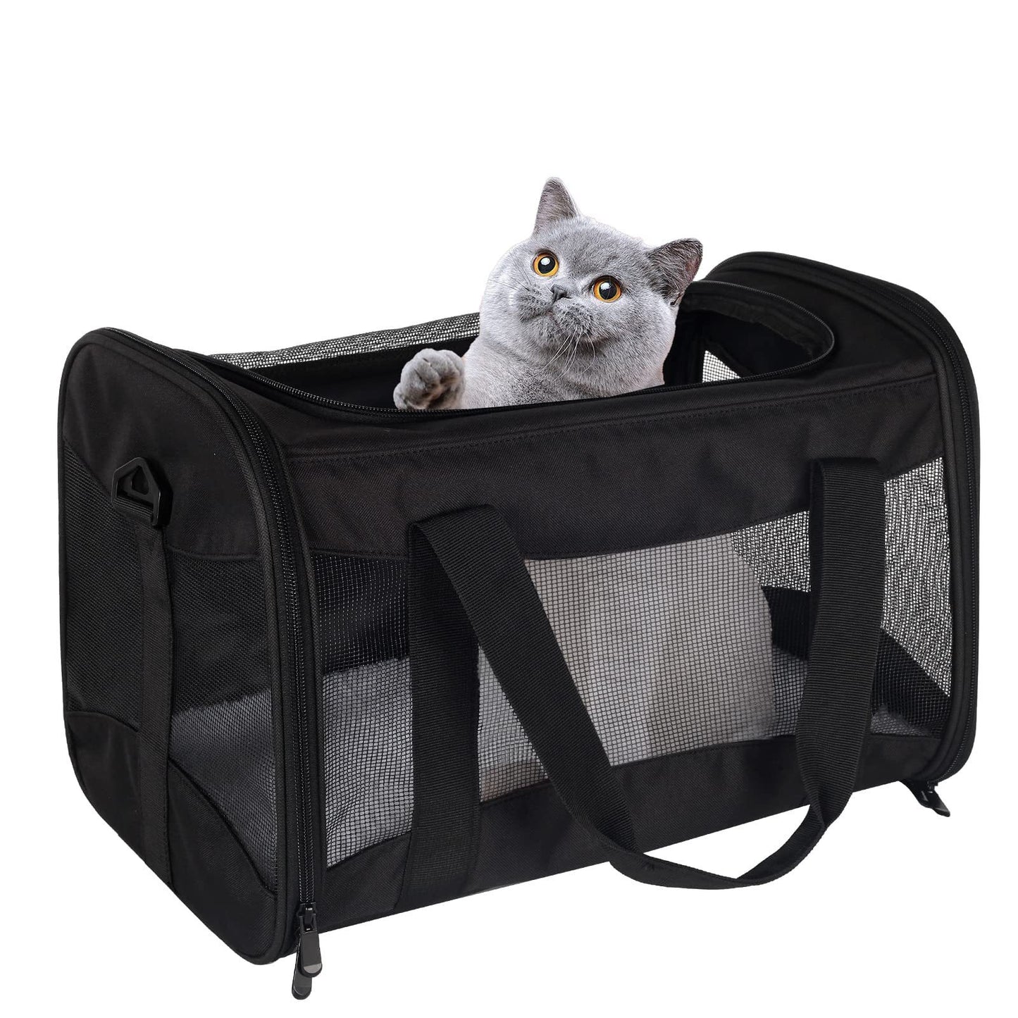 Foldable Breathable Pet Carrier Bag