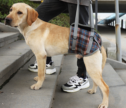 Assistive Belt for Elderly Dogs - Postoperative Rehab Sling