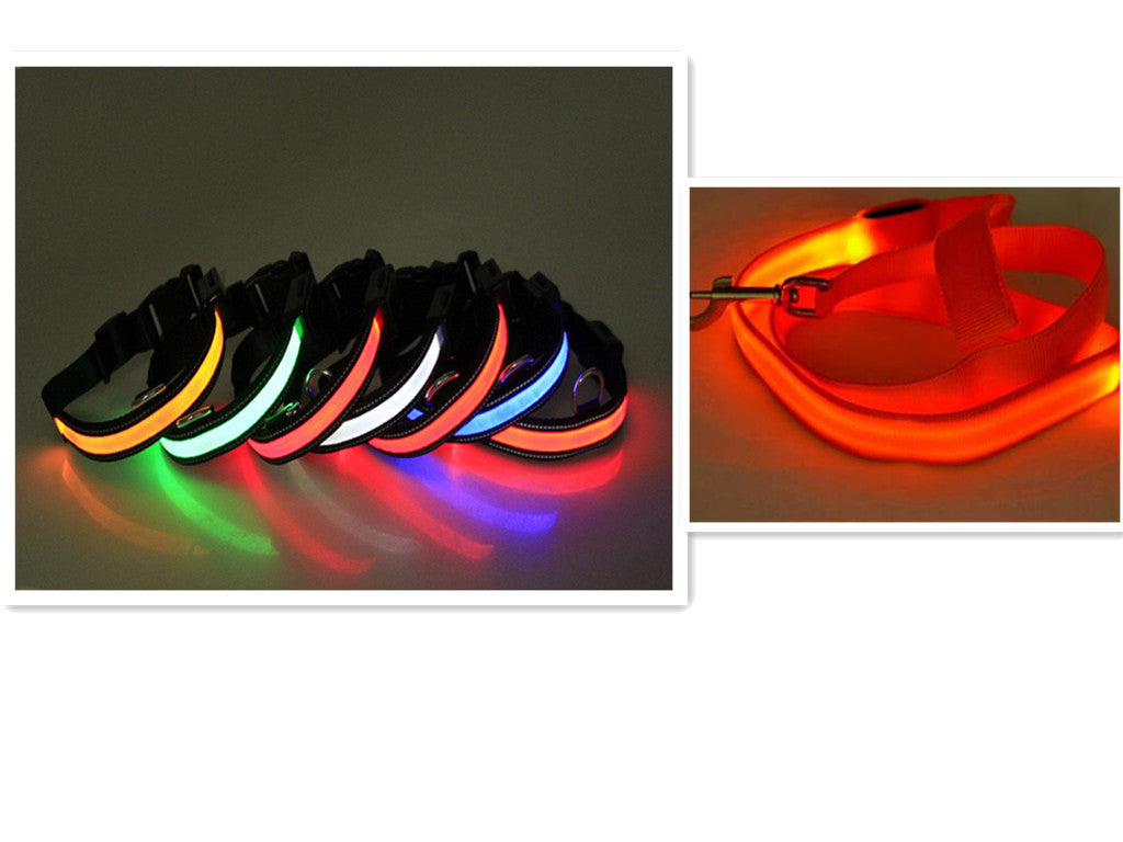 LED Dog Leash with Fluorescent Dog Collar