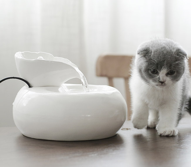 Cat Leaf Water Dispenser with Circulating Filter
