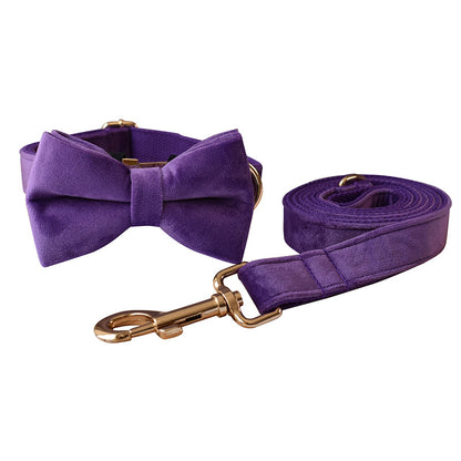 Alloy Carabiner Dog Leash and Pet Collar Combo