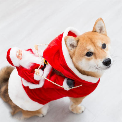 Green Elf Costume for Dogs - Fashionable Christmas Wear