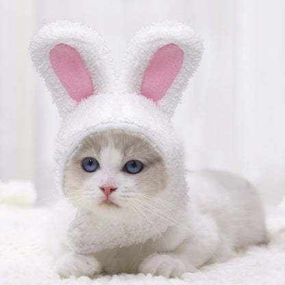 Warm Rabbit Ears Hat for Pets