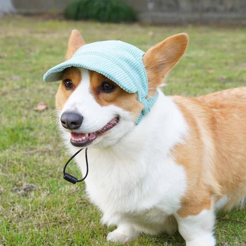 Pet Casual Dress Up Hat