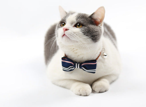 Pet Accessories Dog Bowtie with Collar for Small Dogs