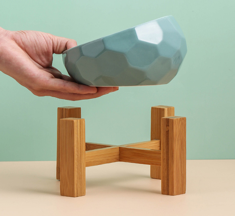Diamond Cat Bowl with Slanted Design and Elevated Base