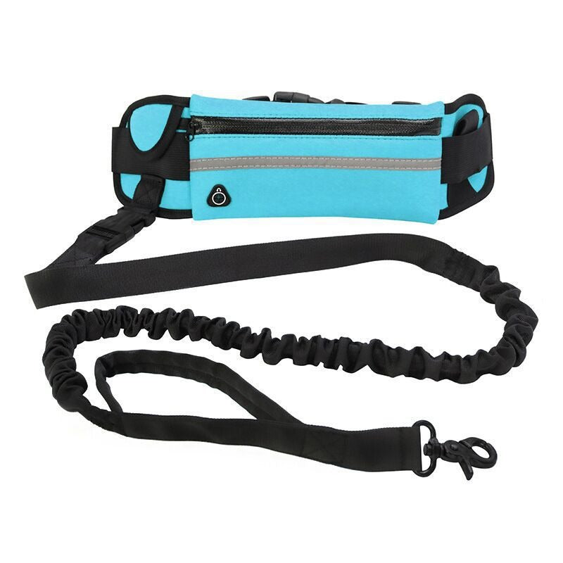 Pet Purse Leash for Dog Walking