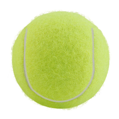 Pet Bite-Resistant Tennis Toy