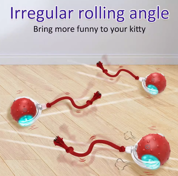 Pet Rolling Ball (One Piece)