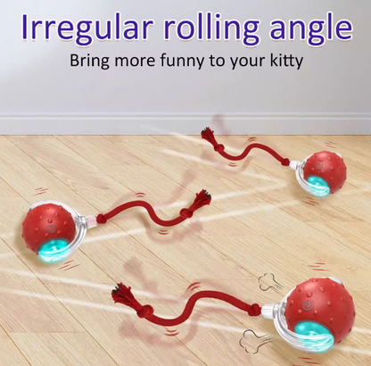 Pet Rolling Ball (One Piece)