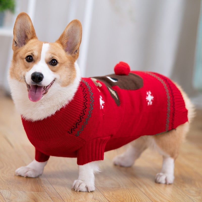 Padded Winter Coat for Shiba Inu Pets