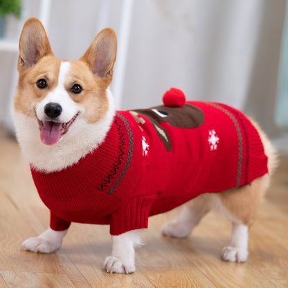 Padded Winter Coat for Shiba Inu Pets