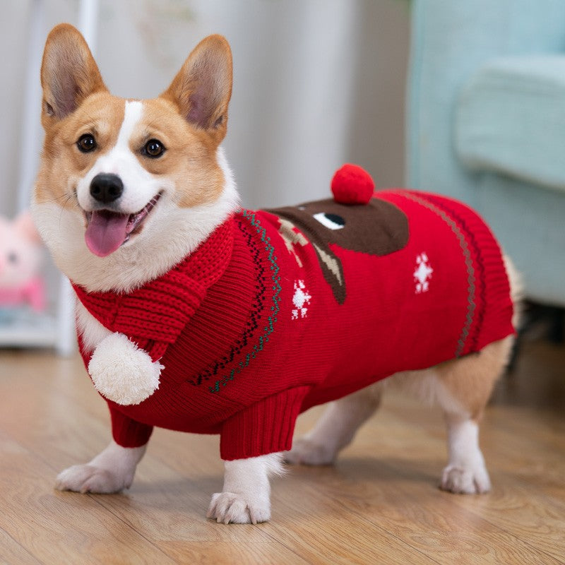 Padded Winter Coat for Shiba Inu Pets